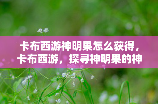 卡布西游神明果怎么获得图片