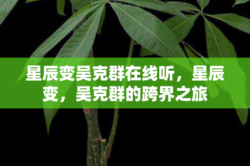 星辰变吴克群在线听图片