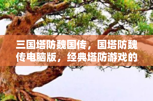 经典塔防游戏的数字化重生图片