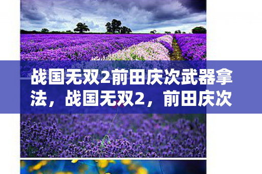 战国无双2前田庆次武器拿法图片