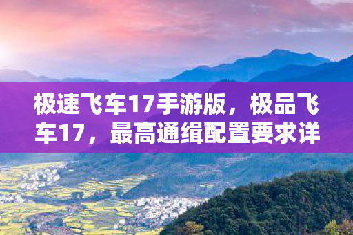 最高通缉配置要求详解图片