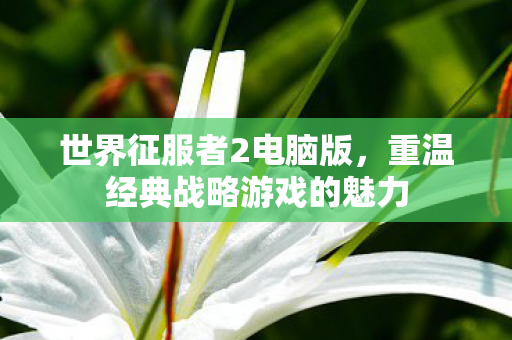 重温经典战略游戏的魅力图片