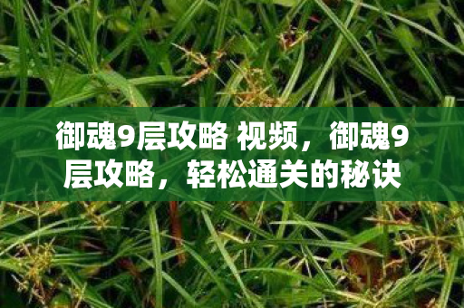 御魂9层攻略 视频图片