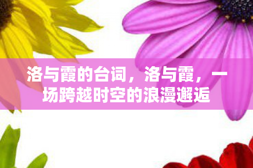 一场跨越时空的浪漫邂逅图片