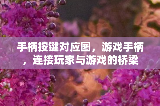 连接玩家与游戏的桥梁图片