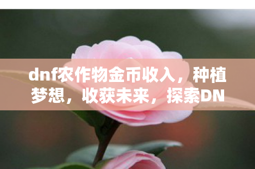 探索DNF中的农作物世界图片