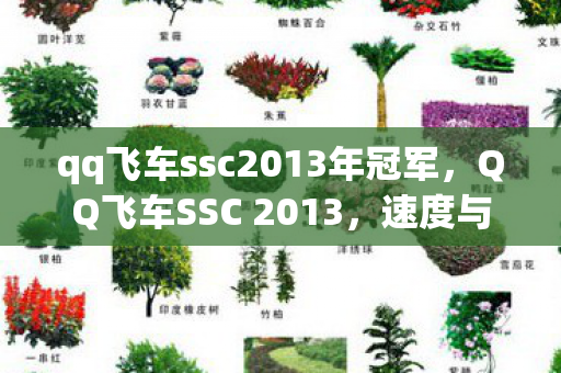 qq飞车ssc2013年冠军，QQ飞车SSC 2013，速度与激情的盛宴