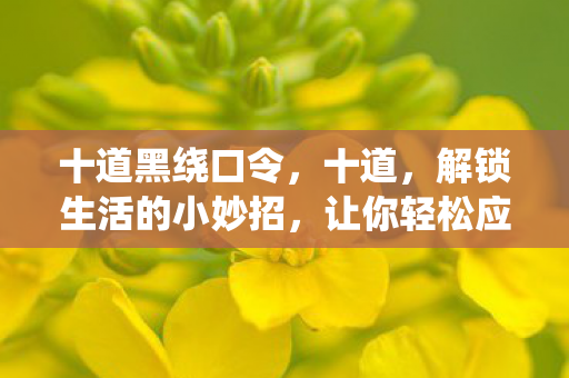 让你轻松应对日常难题图片