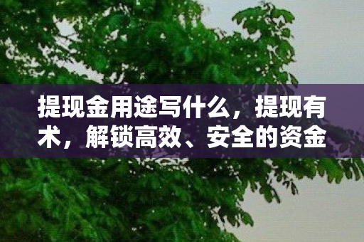 安全的资金转移策略图片