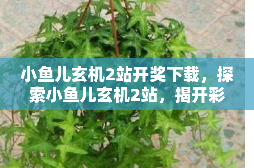 小鱼儿玄机2站开奖下载图片