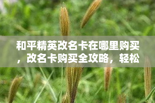 和平精英改名卡在哪里购买，改名卡购买全攻略，轻松找到购买渠道与注意事项