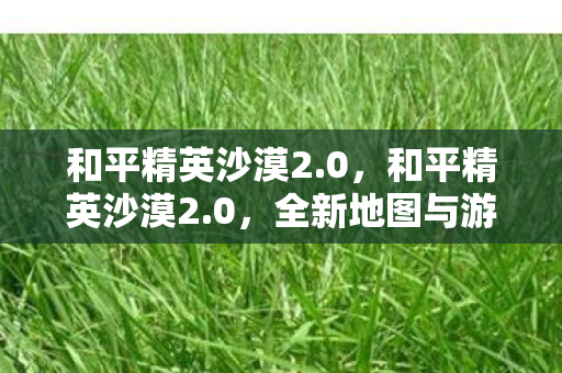 和平精英沙漠2.0，和平精英沙漠2.0，全新地图与游戏机制的深度解析
