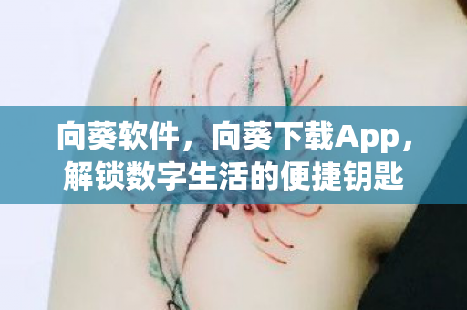 解锁数字生活的便捷钥匙图片