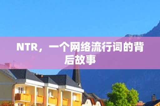 NTR，一个网络流行词的背后故事