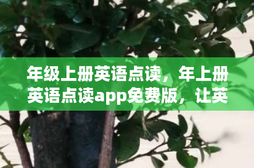 年上册英语点读app免费版图片