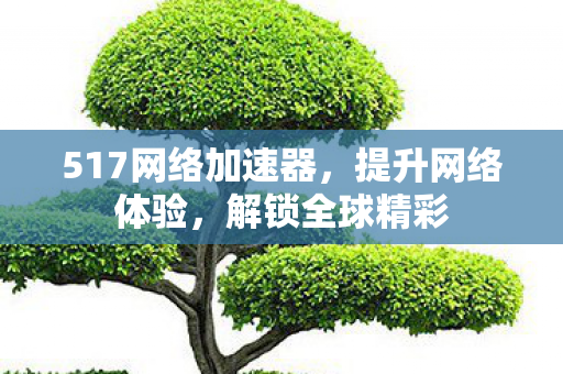 517网络加速器图片