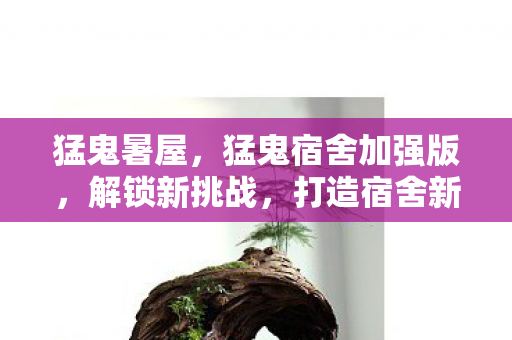 猛鬼宿舍加强版图片