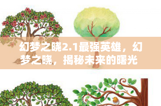 幻梦之晓2.1最强英雄，幻梦之晓，揭秘未来的曙光 2.1 版本更新解析