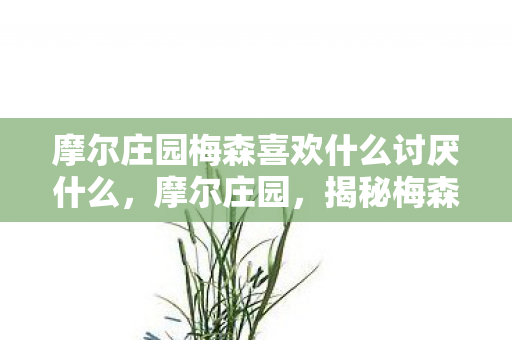 摩尔庄园梅森喜欢什么讨厌什么图片