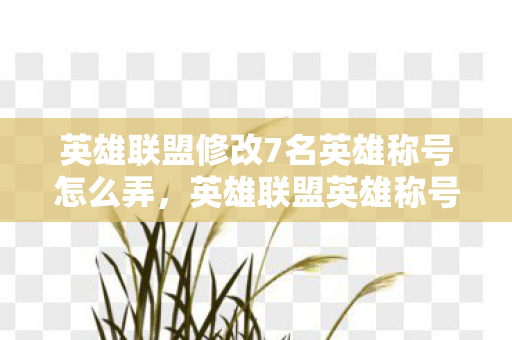 英雄联盟修改7名英雄称号怎么弄图片