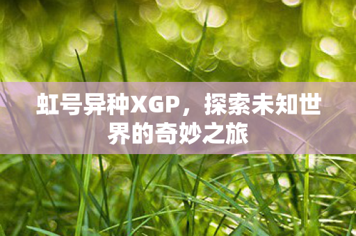 探索未知世界的奇妙之旅图片