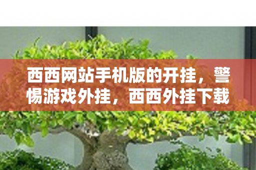 西西外挂下载背后的风险与危害图片