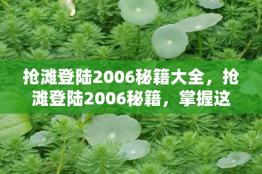 抢滩登陆2006秘籍大全图片