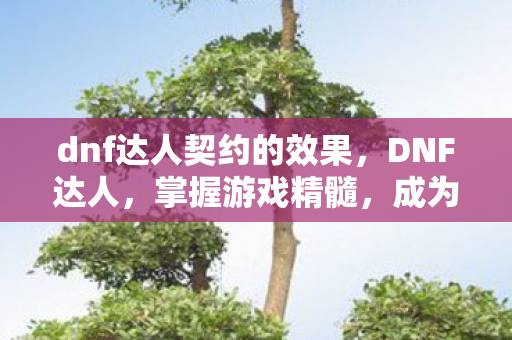 dnf达人契约的效果，DNF达人，掌握游戏精髓，成为真正的地下城与勇士