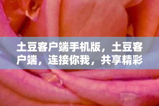 土豆客户端手机版图片