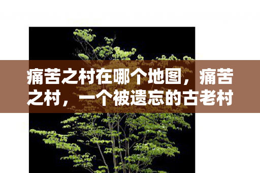 痛苦之村在哪个地图，痛苦之村，一个被遗忘的古老村落