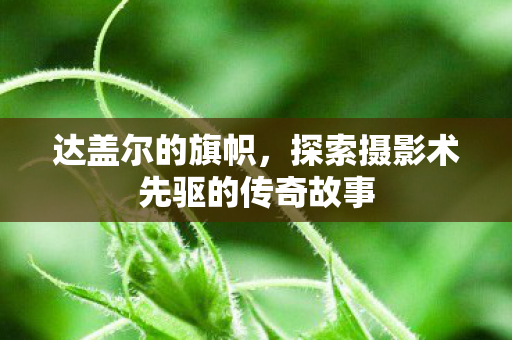 达盖尔的旗帜，探索摄影术先驱的传奇故事