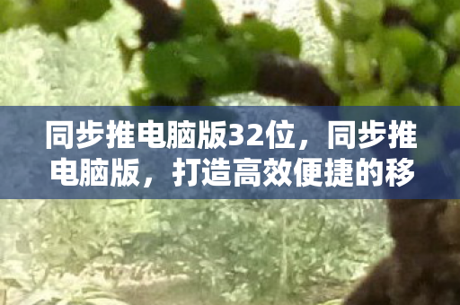 同步推电脑版32位，同步推电脑版，打造高效便捷的移动应用管理新体验
