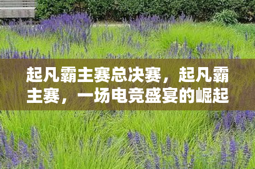 起凡霸主赛总决赛，起凡霸主赛，一场电竞盛宴的崛起与辉煌