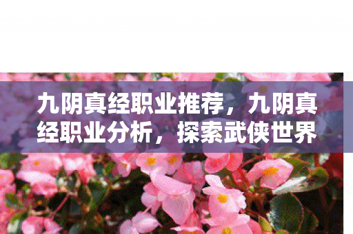 探索武侠世界的多样角色图片