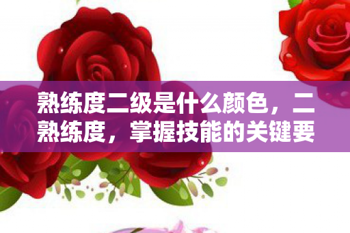 熟练度二级是什么颜色图片
