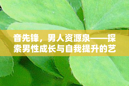 探索男性成长与自我提升的艺术图片