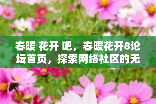 探索网络社区的无限可能图片