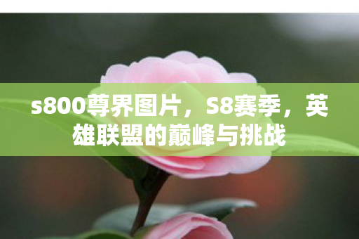 英雄联盟的巅峰与挑战图片