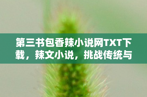 第三书包香辣小说网TXT下载图片