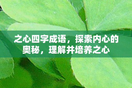 探索内心的奥秘图片