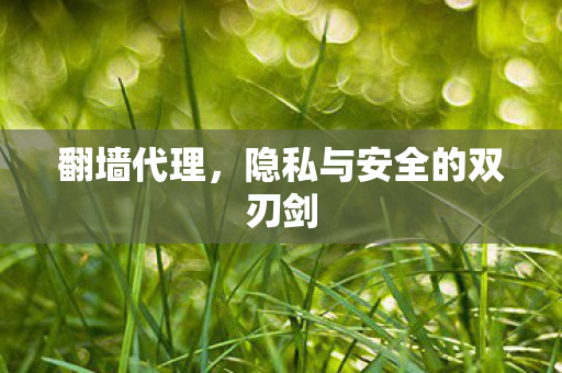 隐私与安全的双刃剑图片