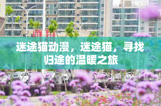 寻找归途的温暖之旅图片