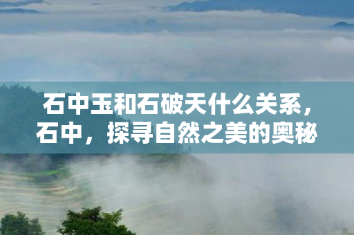 石中玉和石破天什么关系图片