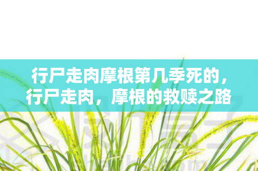 行尸走肉摩根第几季死的图片