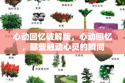 那些触动心灵的瞬间图片