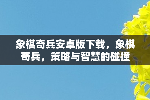 象棋奇兵安卓版下载图片