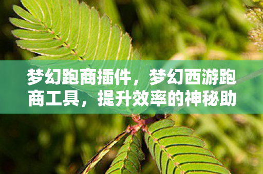 提升效率的神秘助手图片