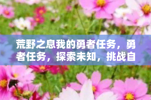 荒野之息我的勇者任务图片