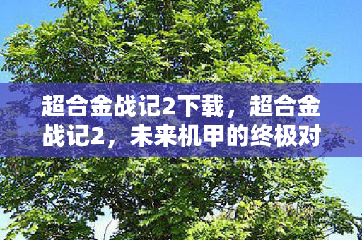 未来机甲的终极对决图片