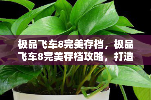 极品飞车8完美存档攻略图片